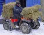 Avatar de l’utilisateur