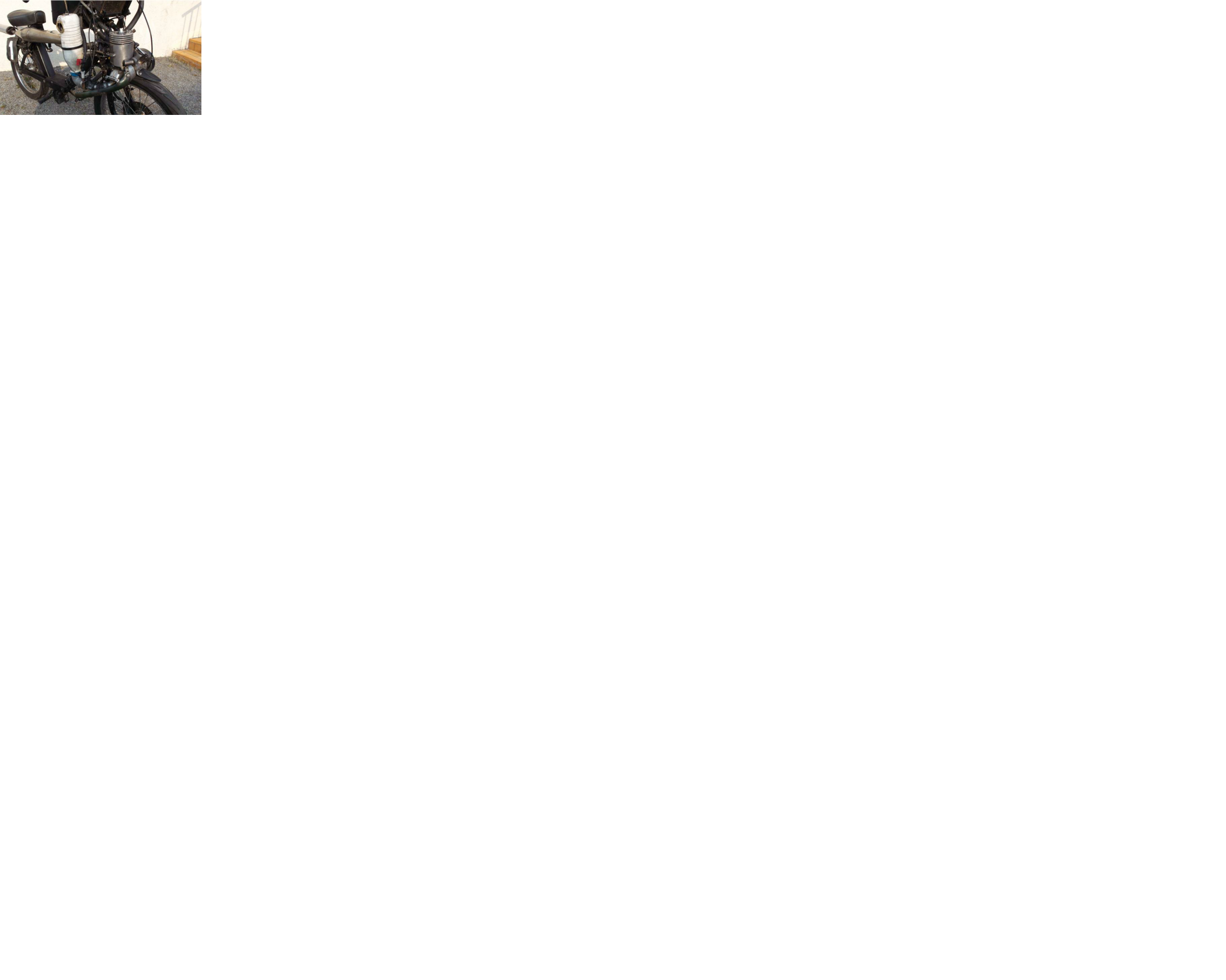 photo 1.png